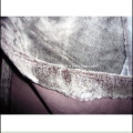 /msite/products/detail/productid/1018229/id/90136.html